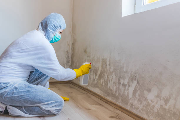 Best Mold Removal for HVAC Installations  in Fisher, IL