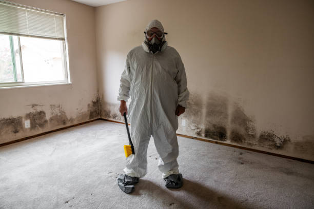 Best Mold Remediation for Healthcare Facilities  in Fisher, IL